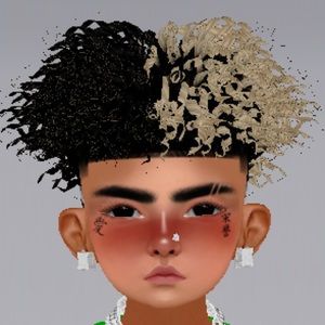 Meet your Posher, De anthony